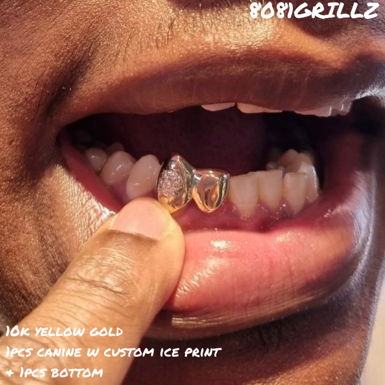 1OK YELLOW GOLD IPES CANINE W CUSTOM ICE PRINT