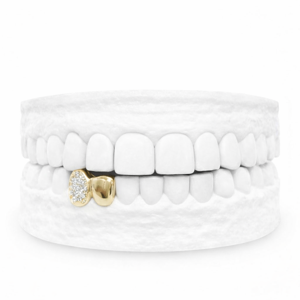 1OK YELLOW GOLD IPES CANINE W CUSTOM ICE PRINT